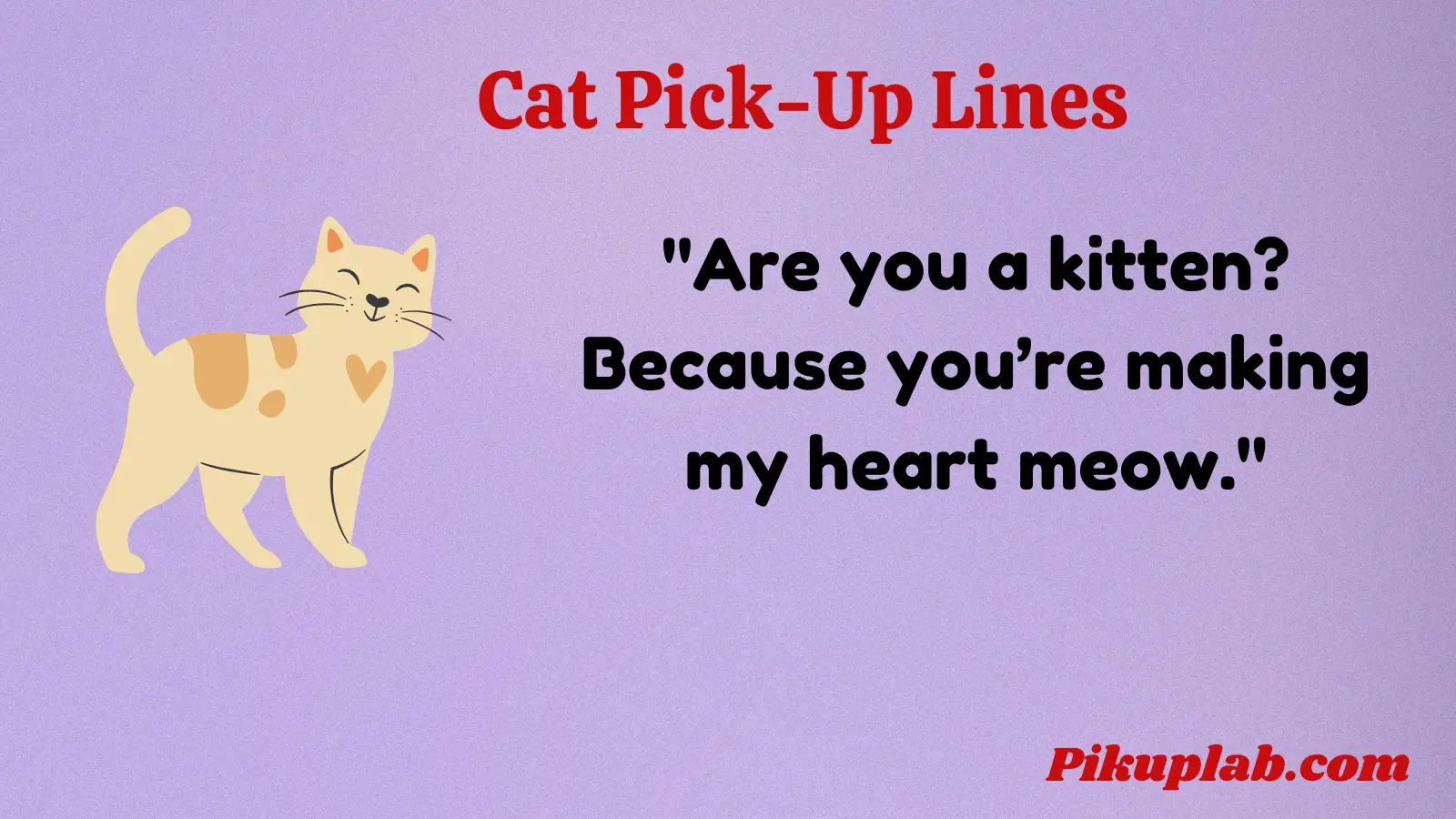 Best Cat Pick Up Lines