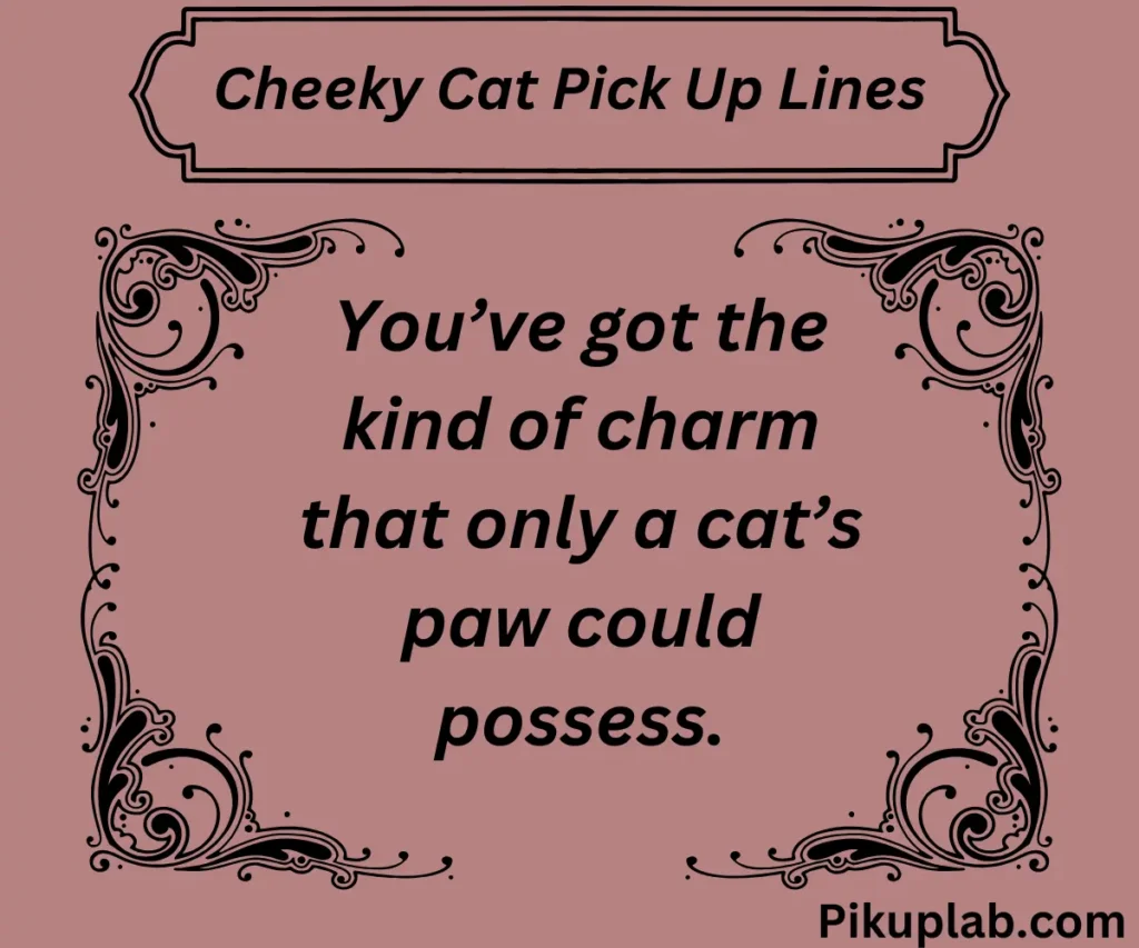 Cheeky Cat Pick Up Lines