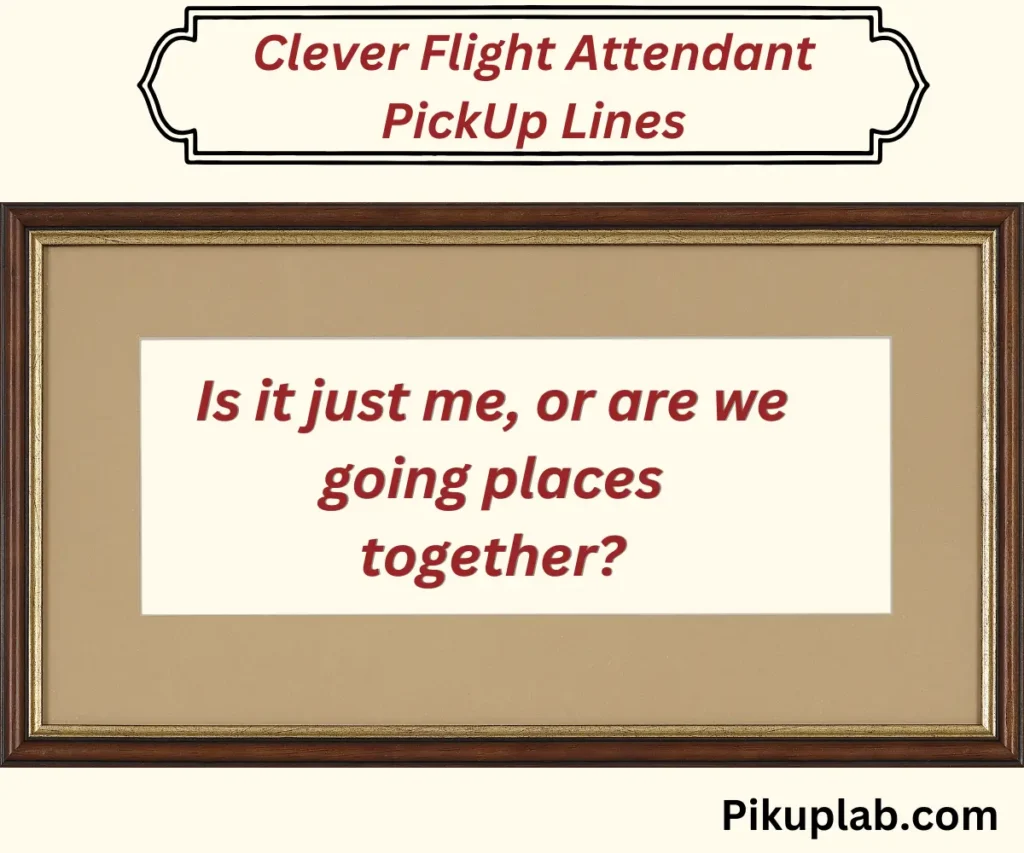 Clever Flight Attendant PickUp Lines