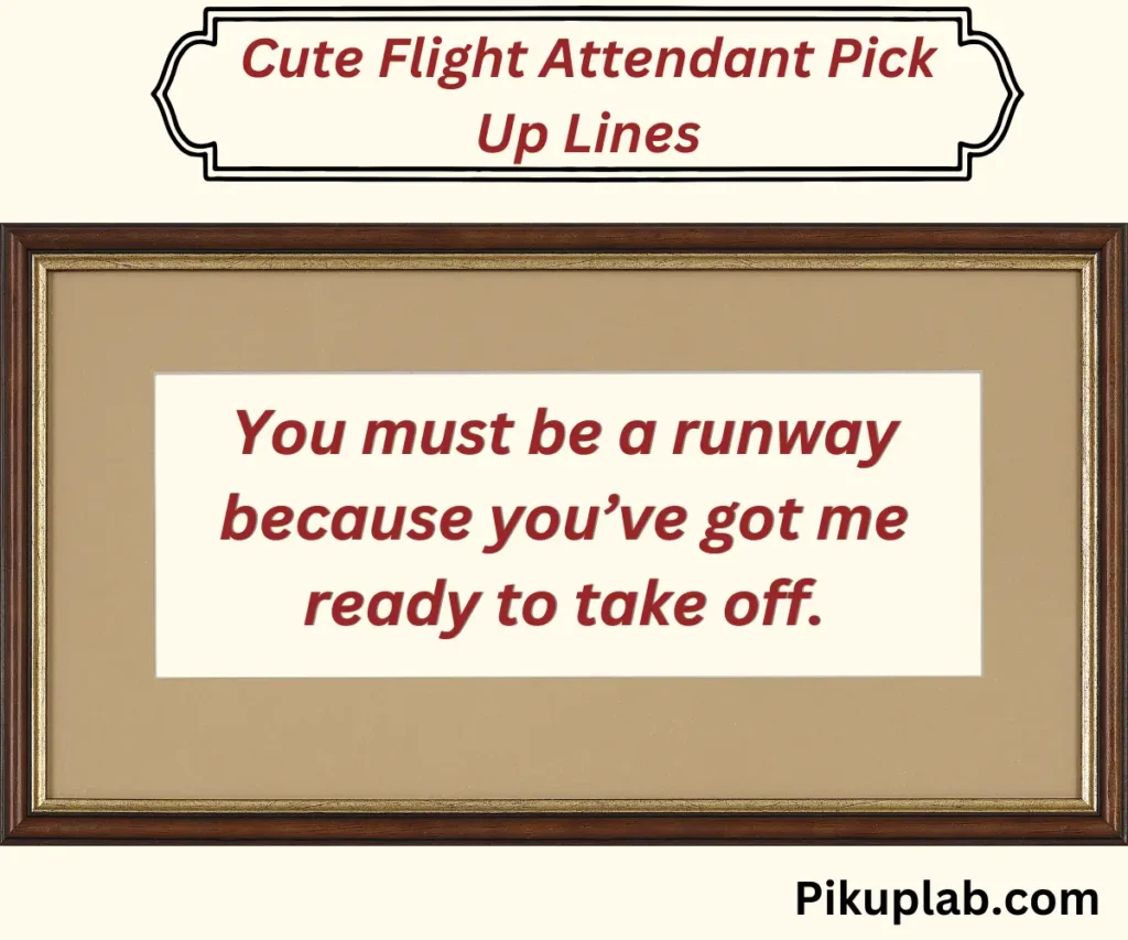 Cute Flight Attendant Pick Up Lines