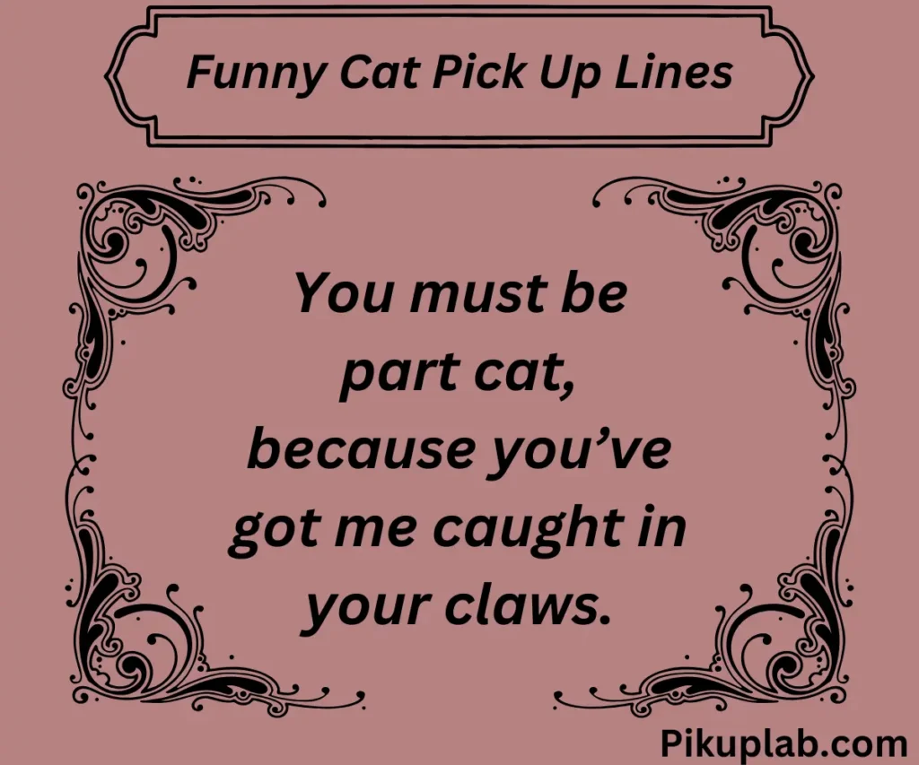 Funny Cat Pick Up Lines