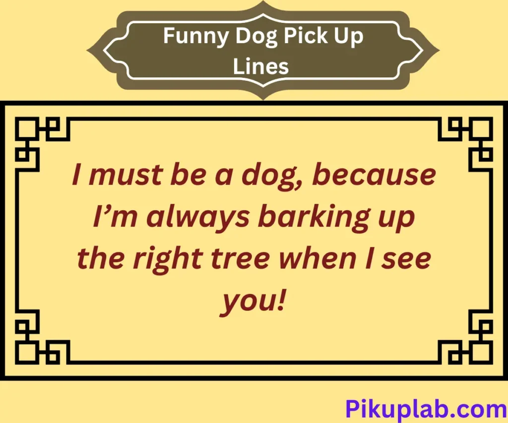 Funny Dog Pick Up Lines for a Good Laugh