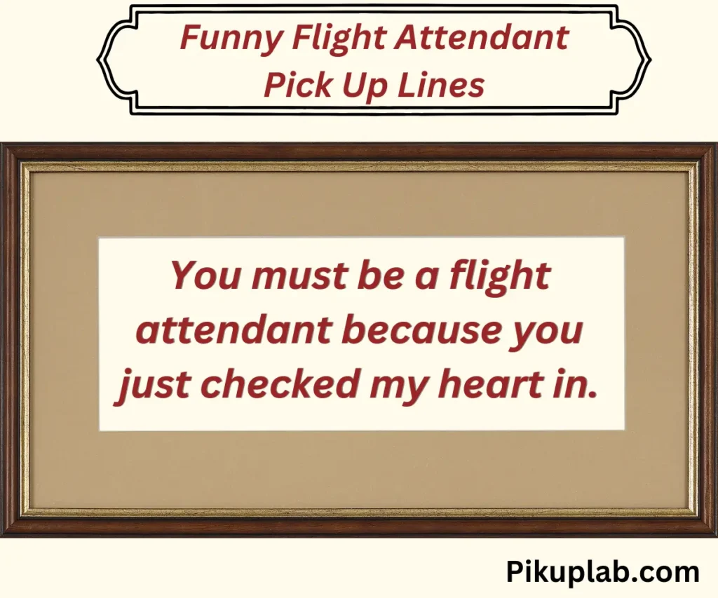 Funny Flight Attendant Pick Up Lines