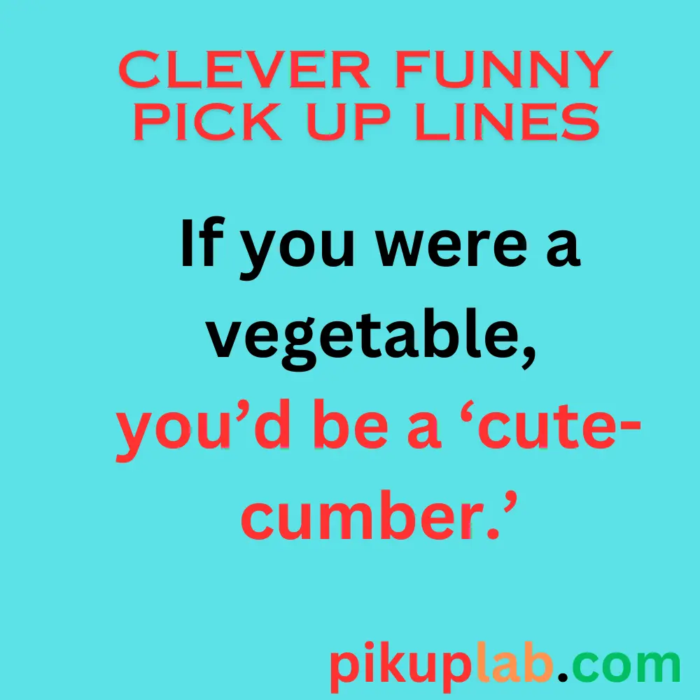 Clever Funny Pickup Lines