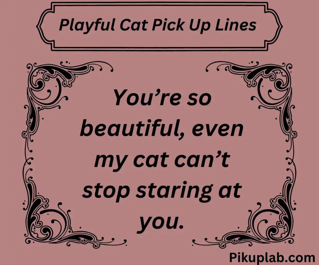 Playful Cat Pick Up Lines 