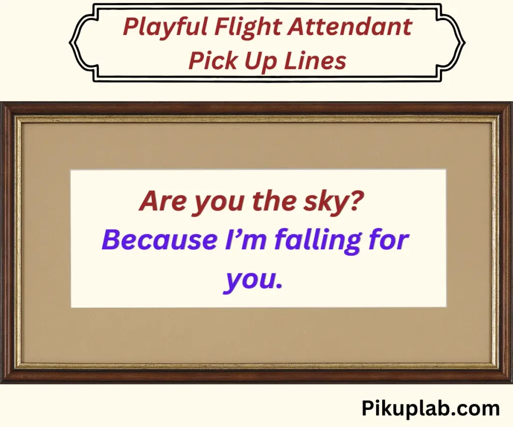 Playful Flight Attendant Pick Up Lines