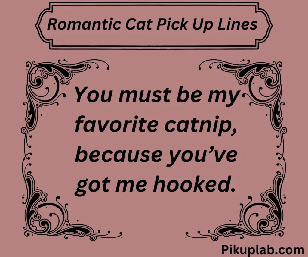 Romantic Cat Pick Up Lines 