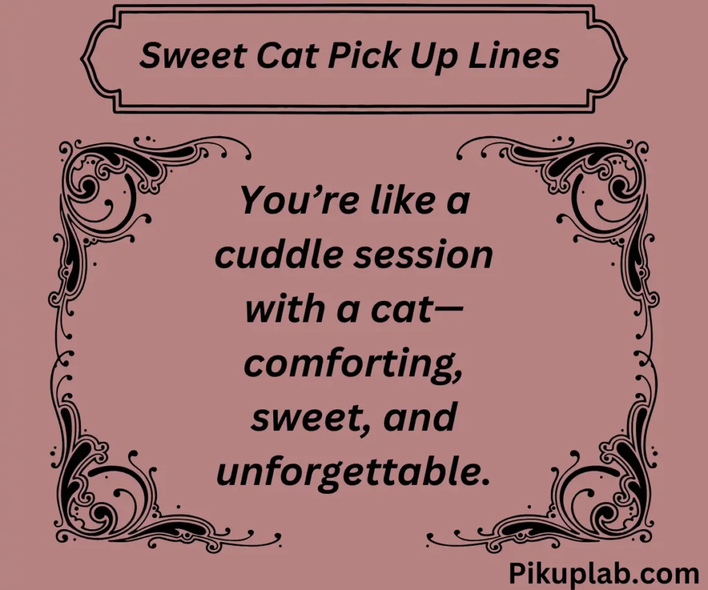 Sweet Cat Pick Up Lines  