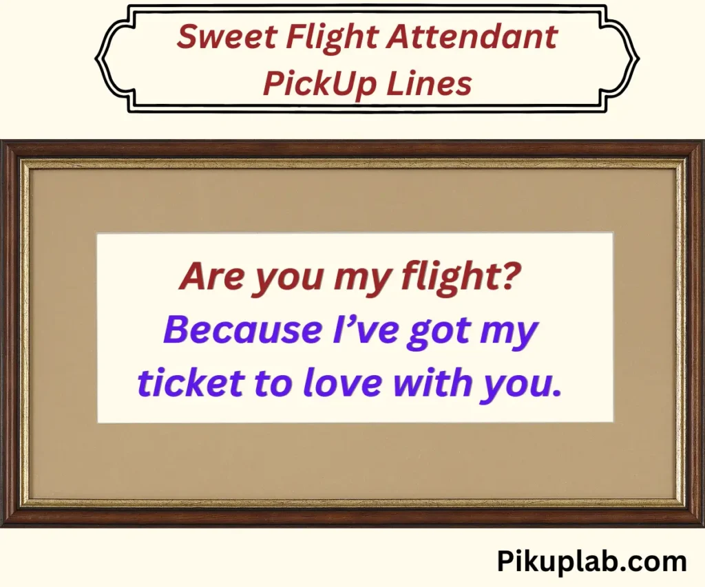 Sweet Flight Attendant PickUp Lines