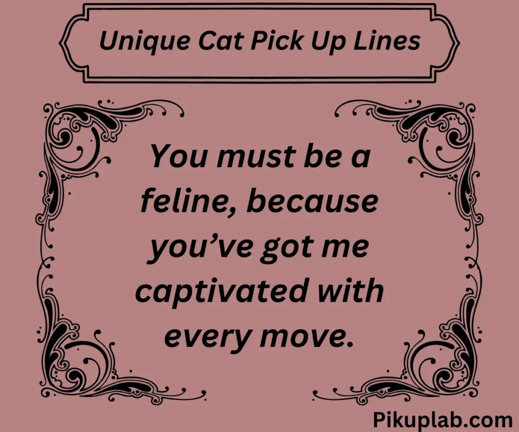 Unique Cat Pick Up Lines