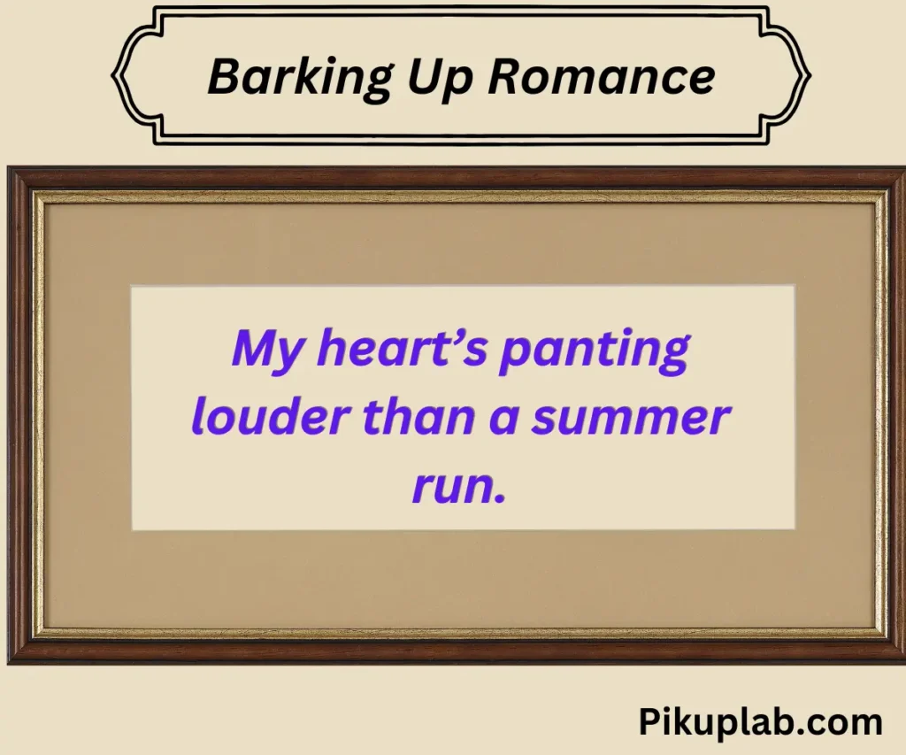 Barking Up Romance