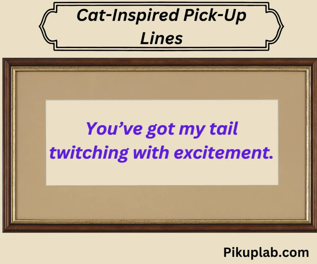 Cat-Inspired Pick-Up Lines