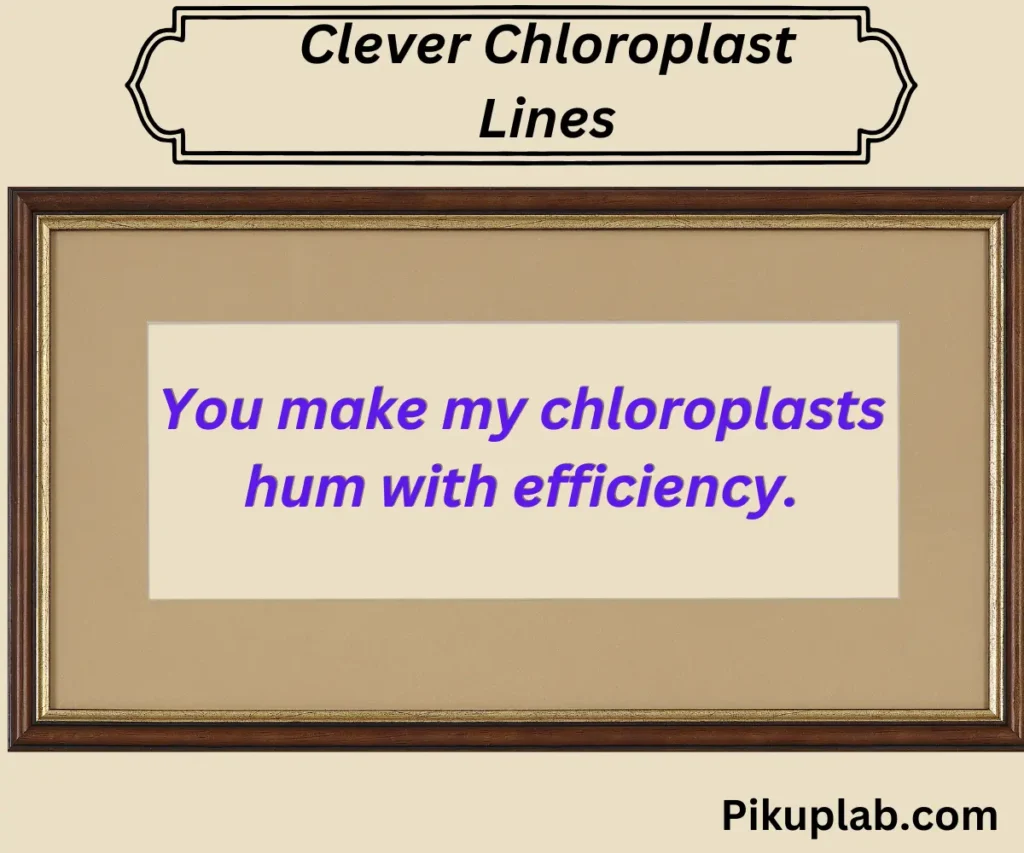 Clever Chloroplast Lines