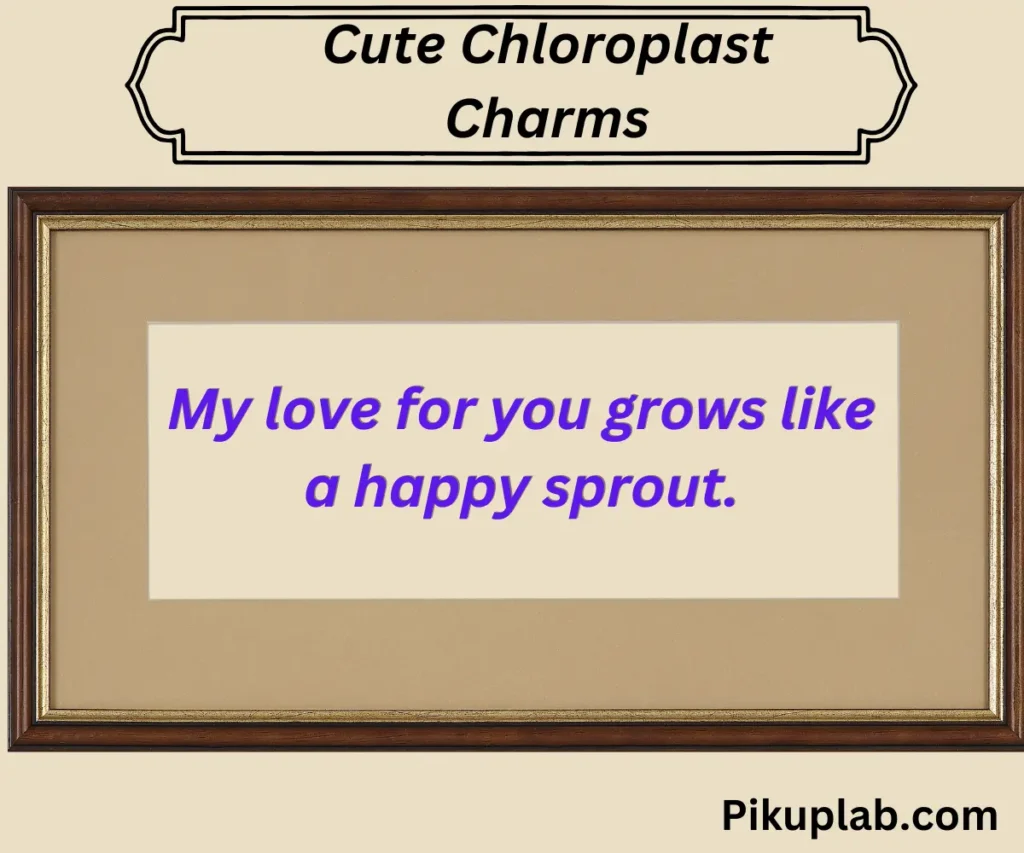 Cute Chloroplast Charms