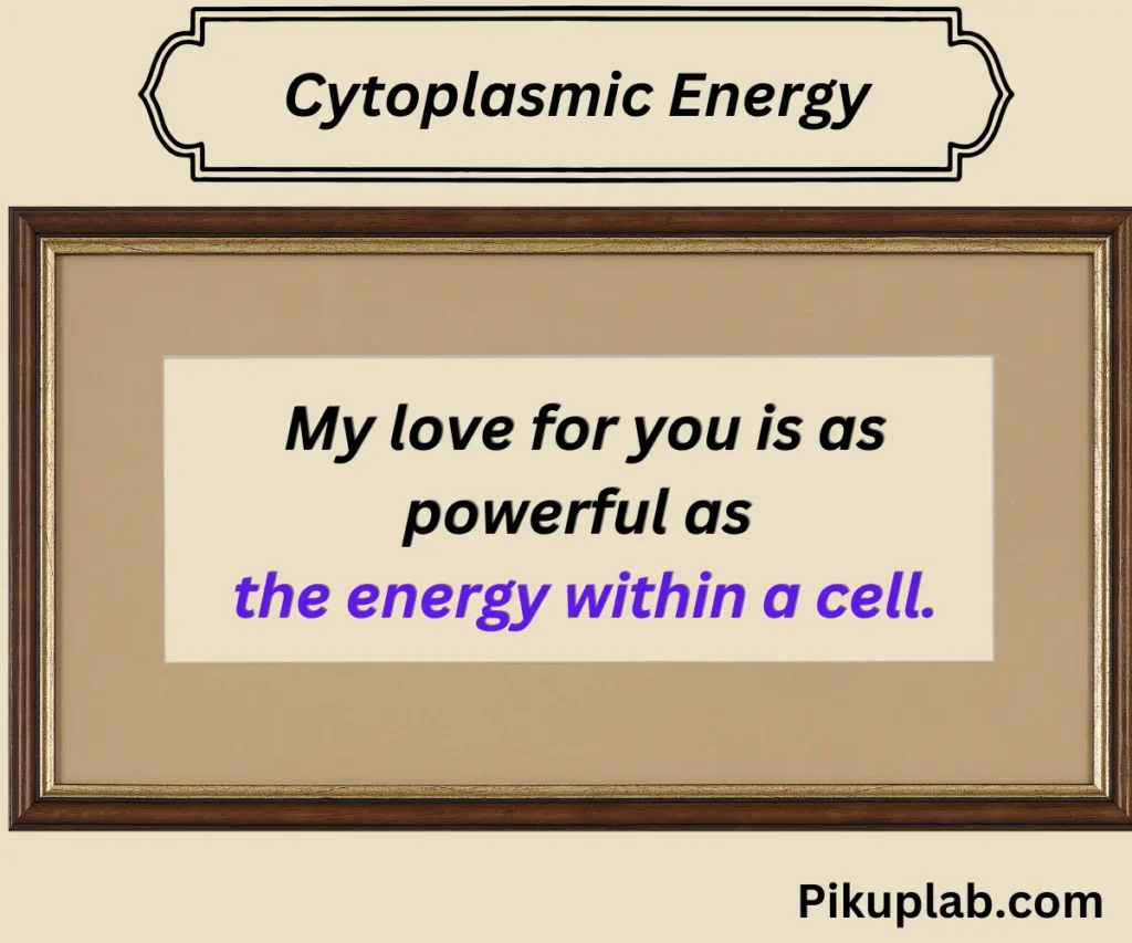 Cytoplasmic Energy