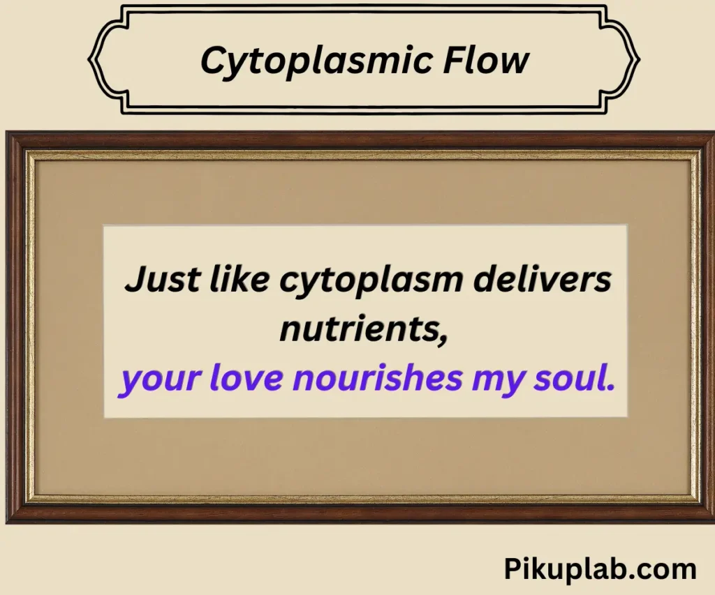 Cytoplasmic Flow