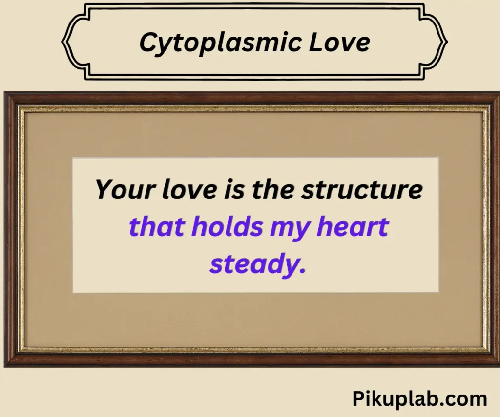 Cytoplasmic Love