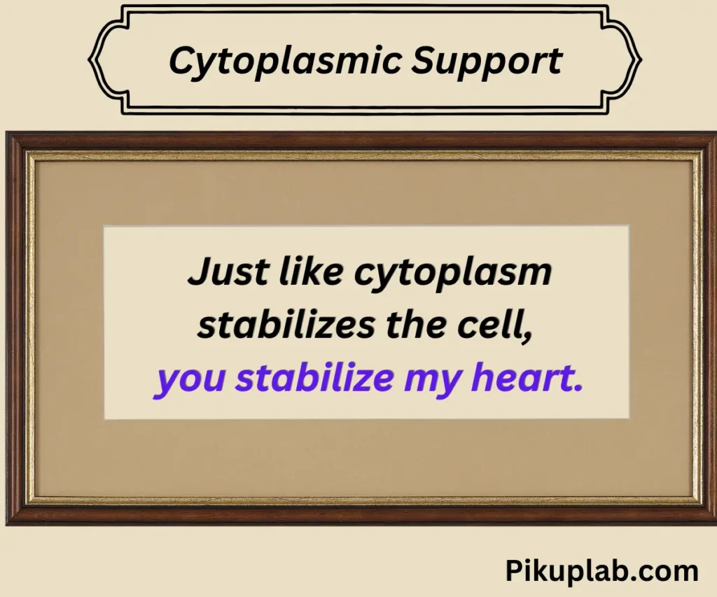 Cytoplasmic Support