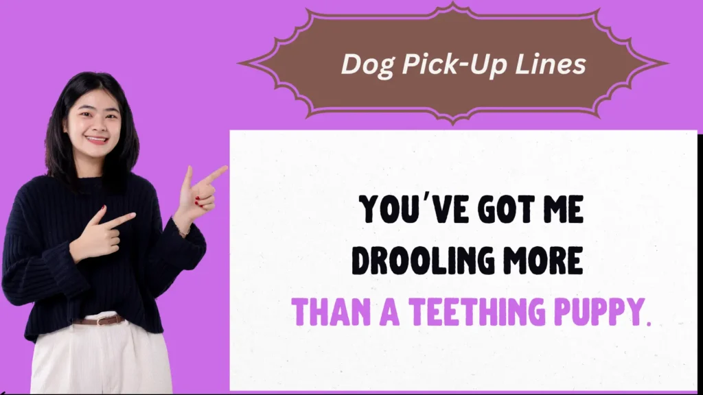 Dog Pick-Up Lines