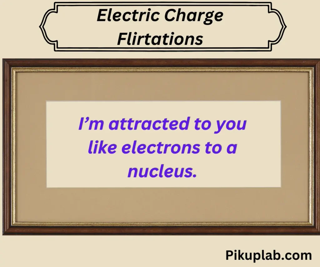 Electric Charge Flirtations