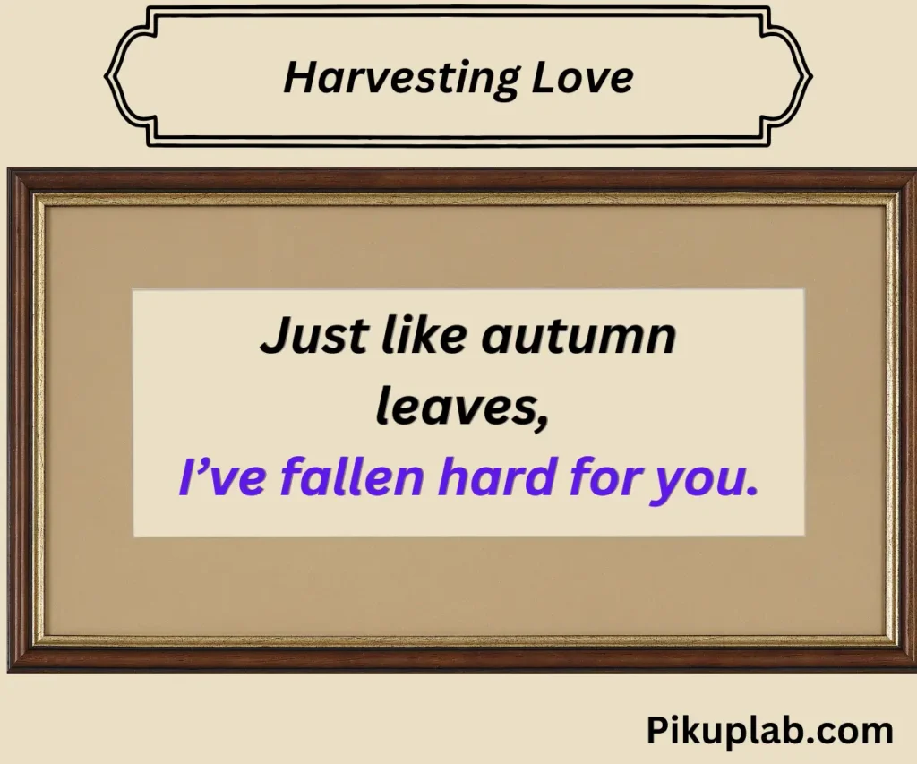 Harvesting Love