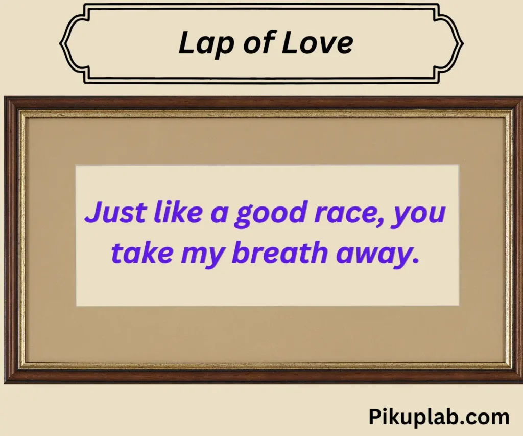 Lap of Love