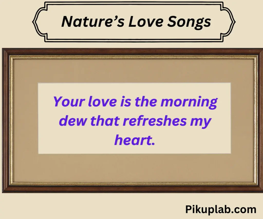 Nature’s Love Songs