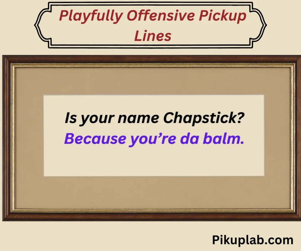 Playfully Offensive Pickup Lines