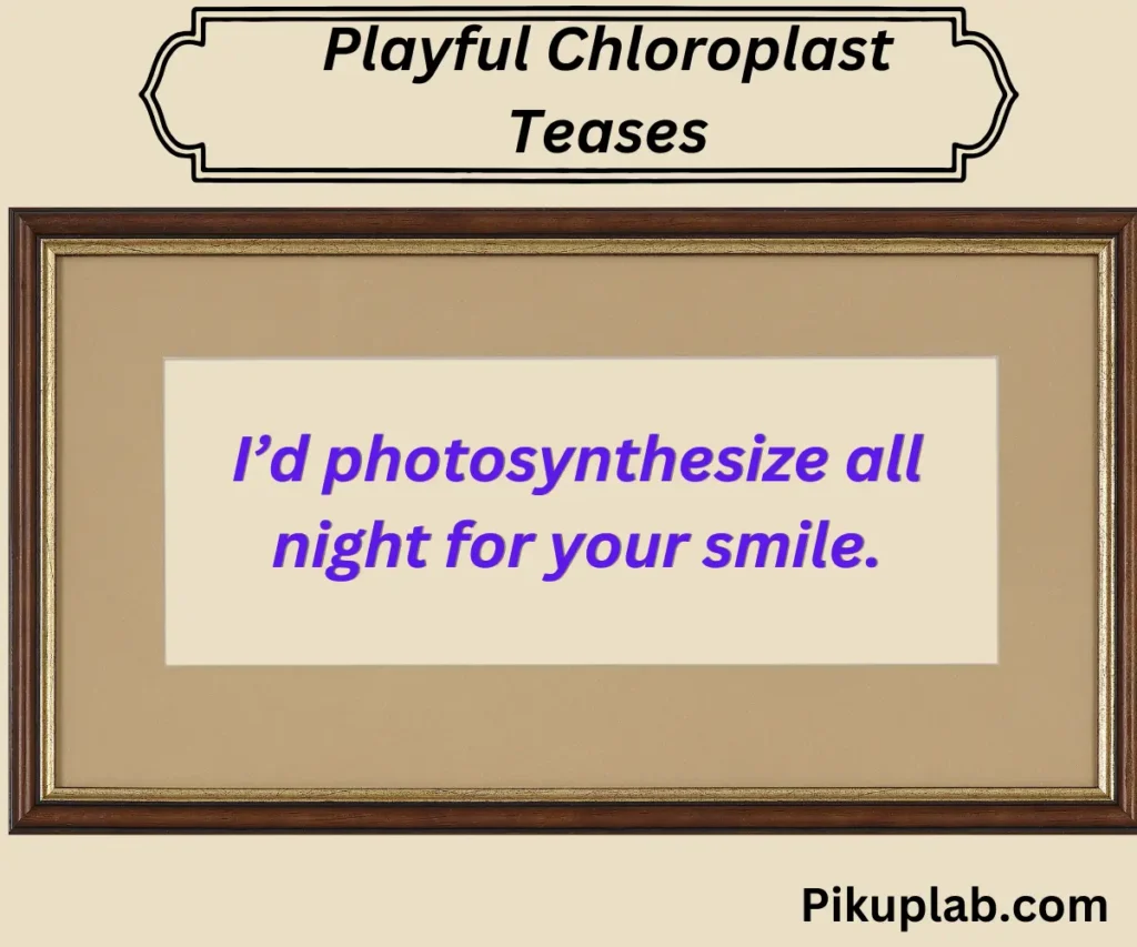 Playful Chloroplast Teases