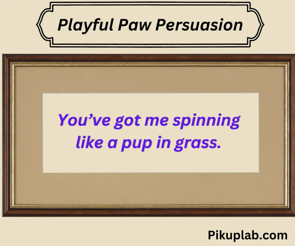 Playful Paw Persuasion