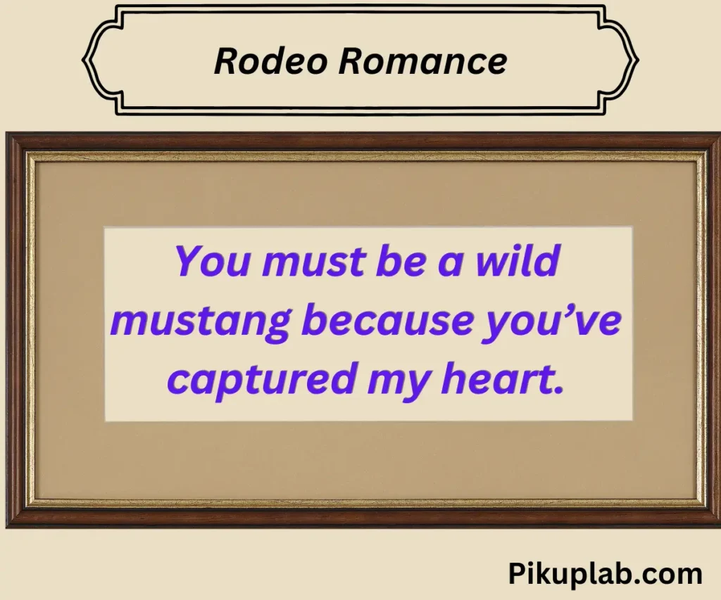 Rodeo Romance