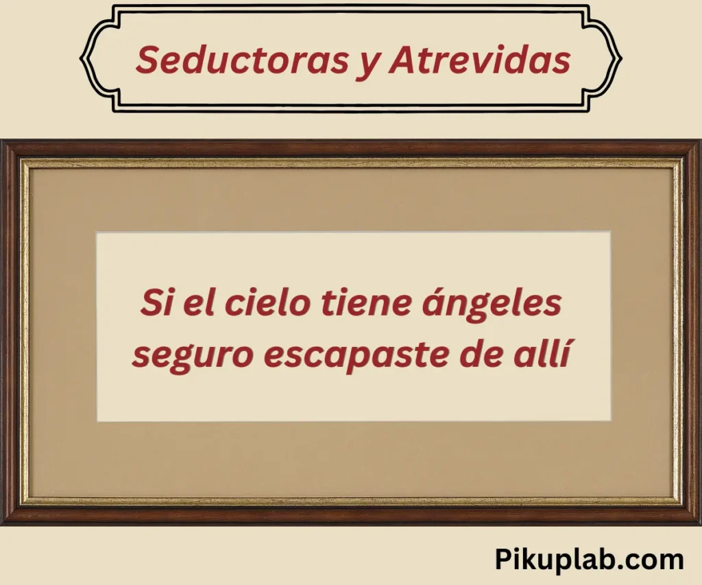 Seductoras y Atrevidas