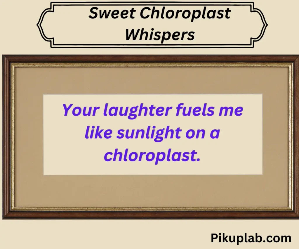 Sweet Chloroplast Whispers