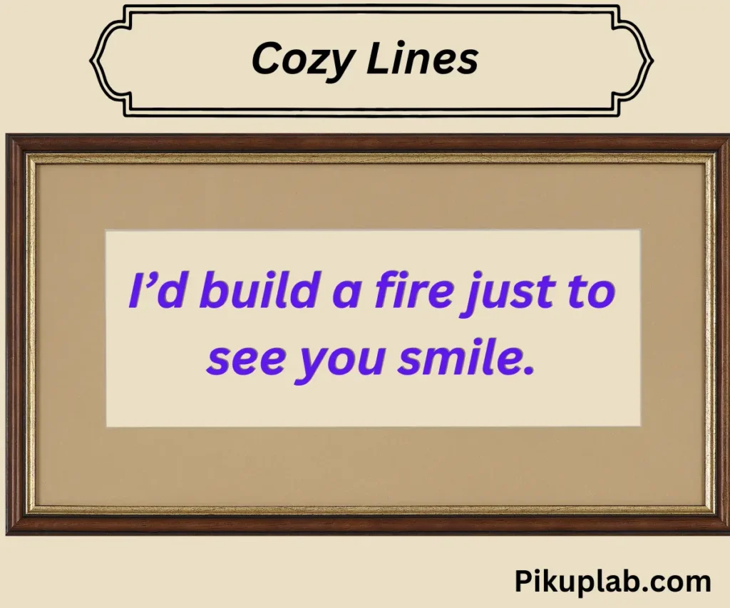 Cozy Lines