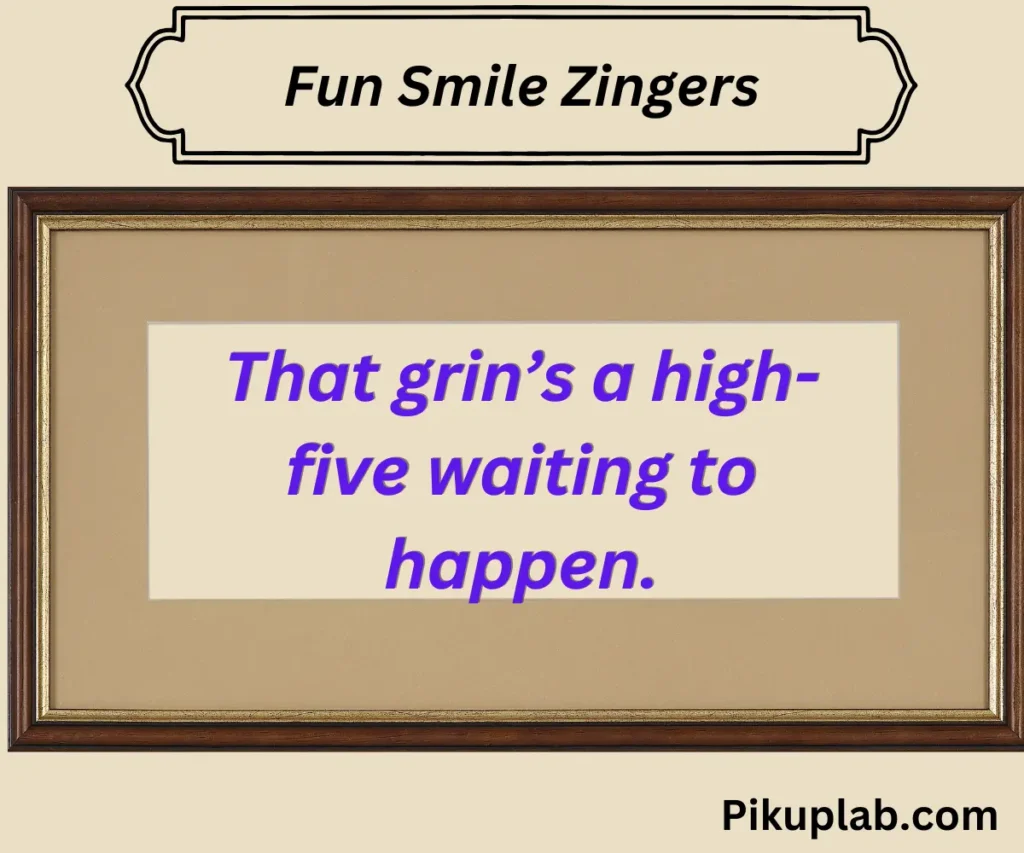 Fun Smile Zingers