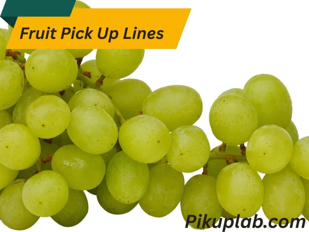 Grape Lines That Keep Things Fine and Classy