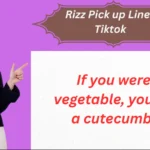 Rizz Pick Up Lines for TikTok