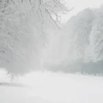 Snow Pick Up Lines