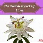 The Weirdest Pick Up Lines