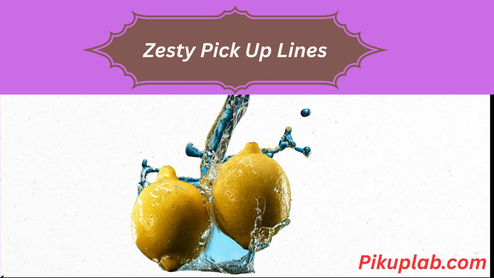Zesty Pick Up Lines