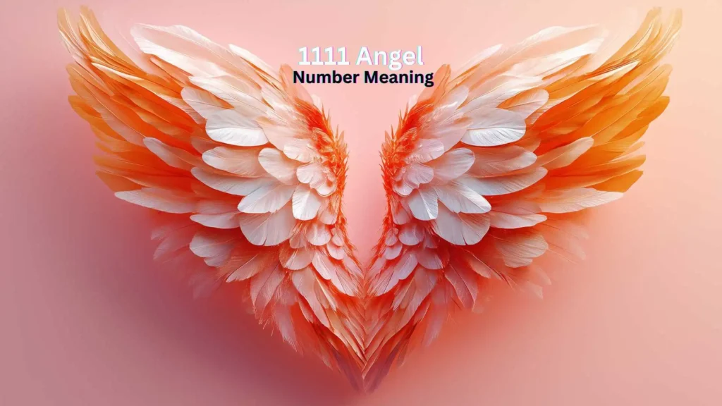 1111 Angel Number Meaning