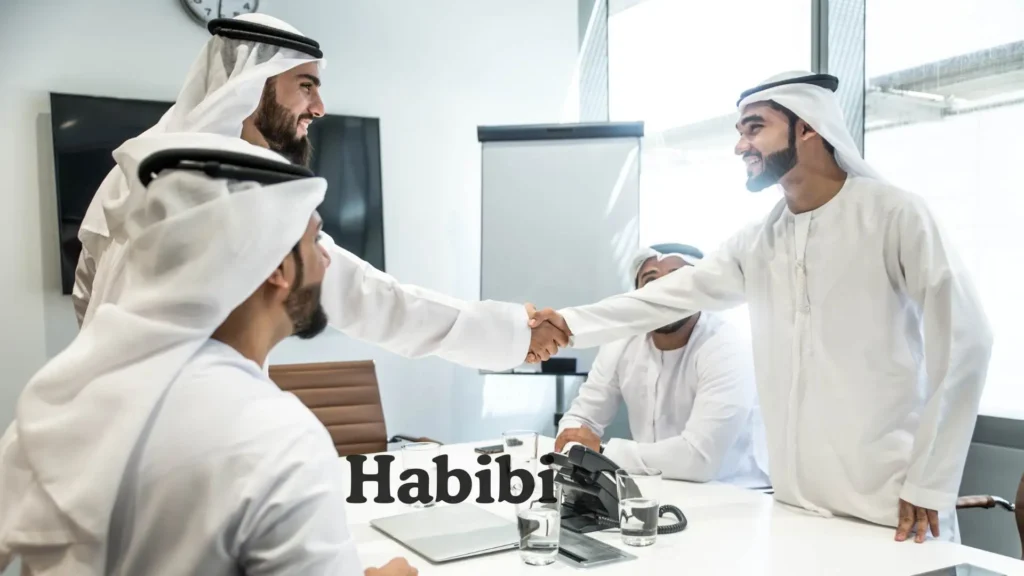 Habibi Full Meanings