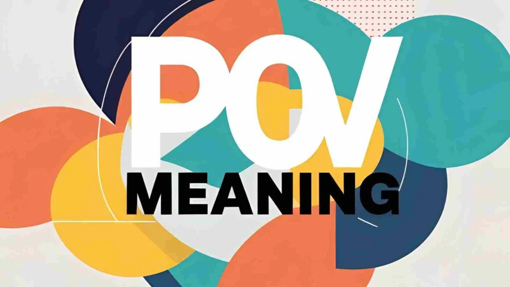 POV Meaning