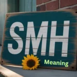 SMH Meaning