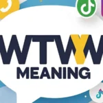 WTW Meaning